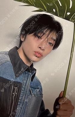 Stray Kids World Tour dominATE JAPAN