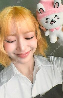 DREAMY SWEETLAND Sumin photocard image