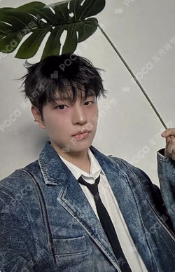 Stray Kids World Tour dominATE JAPAN SEUNGMIN photocard image
