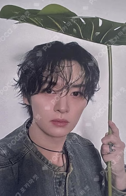 Lee Know Dominate Tour Concept