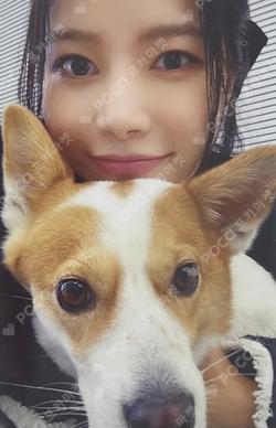 WANT IDOL STORE LUCKY DRAW Solar photocard image