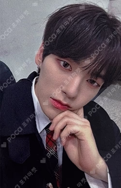 Prelude of Love Chapter 1. 'Puppy Love' EVERLINE