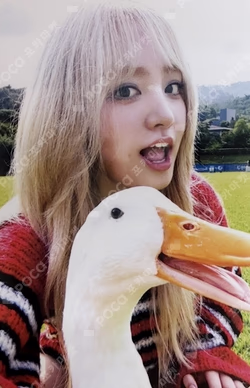 I'VE MINE SOUND WAVE LUCKY DRAW LIZ photocard image