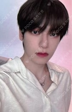 Prelude of Love Chapter 1. 'Puppy Love' EVERLINE