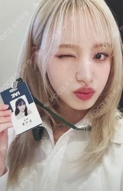 2024 IVE 2nd FANMEETING [MAGAZINE IVE] DIVE FANCLUB BOOTH LIZ photocard image
