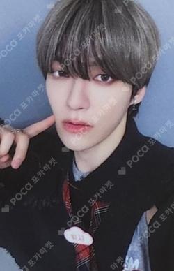 Prelude of Love Chapter 2. Growing Pains EVERLINE WISH photocard image