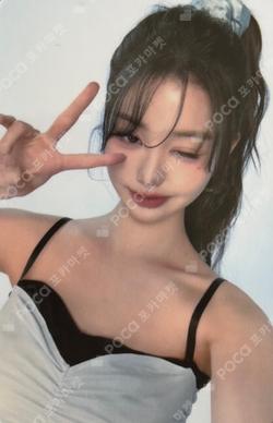 AMUSE WONYOUNG photocard image