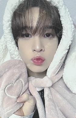 SUN SEEKER SOUND WAVE ALLEN photocard image