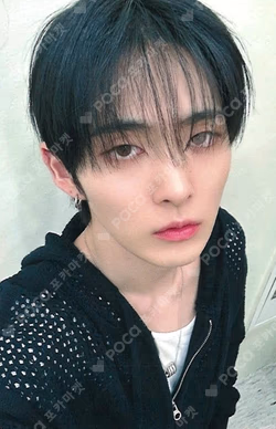 Butterfly SOUND WAVE