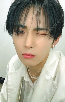 Butterfly SOUND WAVE