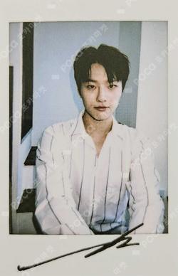 COLORFUL TRAUMA MOODZ CAFE WOODZ photocard image