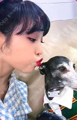 SMARTPHONE POP-UP CAFE YENA photocard image