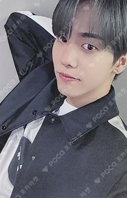 LOVE EFFECT SOUND WAVE U photocard image