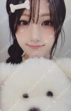 My Name Is... Hellolive shop JUNHWI photocard image