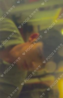 Bittersweet Trading Card Set MINGYU photocard image