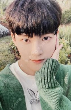 HOMEBOY POP-UP CAFE HOMEBOY PICNIC SET