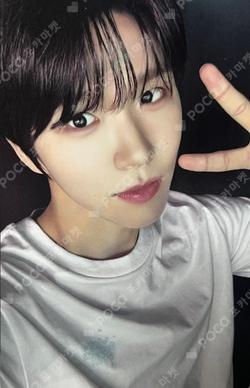 NCT WISH THE 1ST PHOTO EXHIBITION [ONE SUMMER WISH] T-SHIRT SET JAEHEE photocard image