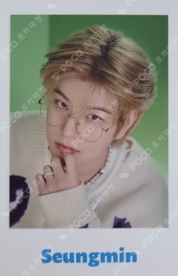 Stray Kids Fan Connecting 2024 SKZ TOY WORLD Photo card set
