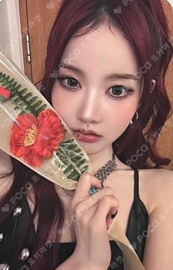 [S] Kpop Planet