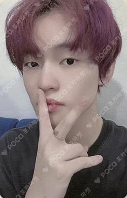 ISTJ EVERLINE CHENLE photocard image