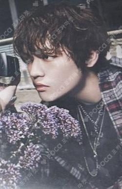 NCT CHENLE photocard image