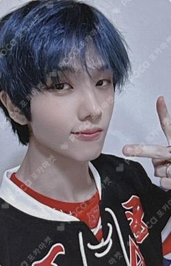 ISTJ EVERLINE JISUNG photocard image