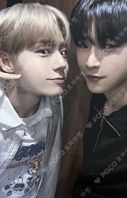 PYGMALION SOUND WAVE WINNER