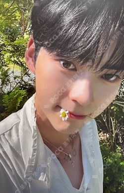 YOUTH IN THE SHADE SOUND WAVE SUNG HANBIN photocard image