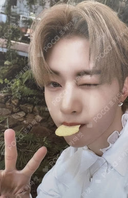 YOUTH IN THE SHADE SOUND WAVE LUCKY DRAW