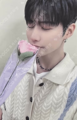 Butterfly Kpop Planet