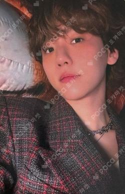 Essence of Reverie MUSICPLANT BAEKHYUN photocard image