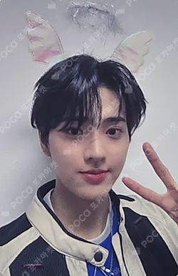 Into The Tempest SOUND WAVE