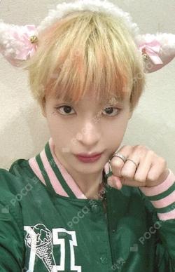 HOUSE OF TRICKY : SPUR APPLEMUSIC YECHAN photocard image