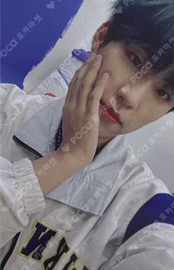 VIVID V VER.