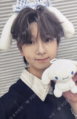 WILD&FREE SOUND WAVE