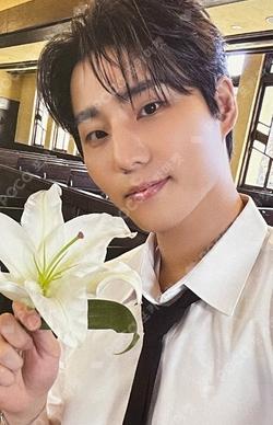 DICON VOLUME N°27 PERFECT DAY6PERFECT DAY6 B type Young K photocard image