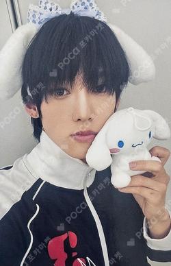 WILD&FREE SOUND WAVE KAMDEN photocard image