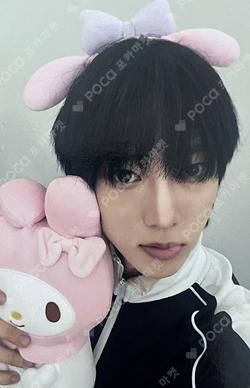 WILD&FREE SOUND WAVE KAMDEN photocard image