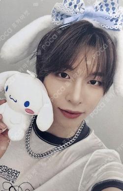 WILD&FREE SOUND WAVE