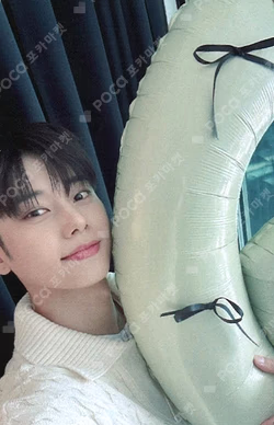 ABBI's MEMORY BOX DAEHWI SET