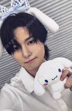 WILD&FREE SOUND WAVE