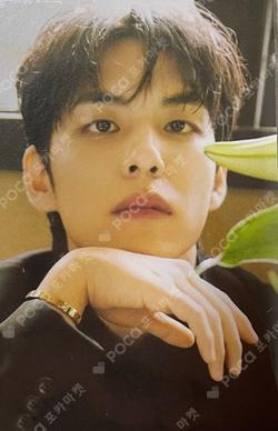 DICON VOLUME N°27 PERFECT DAY6PERFECT DAY6 B type WEVERSE WONPIL photocard image