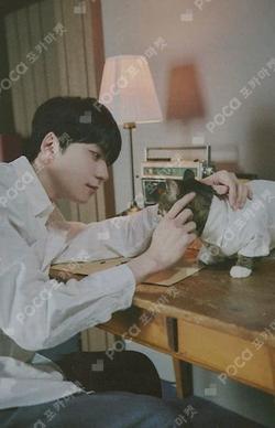 I Just Want Love [POCAALBUM] KEONHEE photocard image