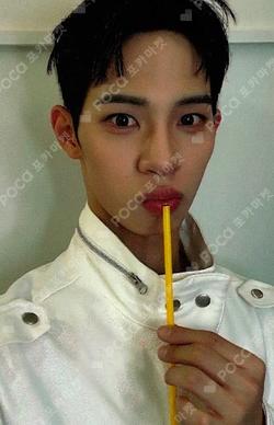 FLEX LINE EVERLINE HONGKEONHEE photocard image