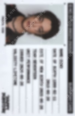 HAPPY BURSTDAY NEW BURSTDAY Ver. DINO photocard image
