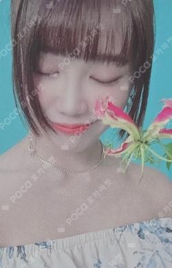 2020 APINK FLORAL DAY SEASON’S GREETINGS EunJi photocard image