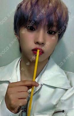 FLEX LINE EVERLINE SHINYECHAN photocard image
