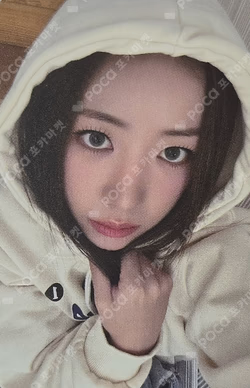 2025 Season’s Greetings [Pink Vibes]