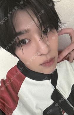 Steady KMS SION photocard image