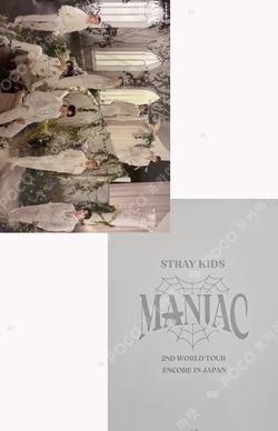 Stray Kids 2nd World Tour MANIAC ENCORE in JAPAN Random trading card